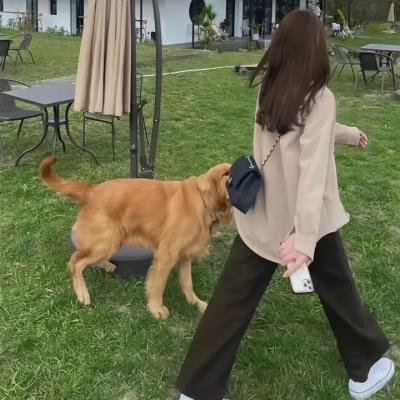 激情的爱